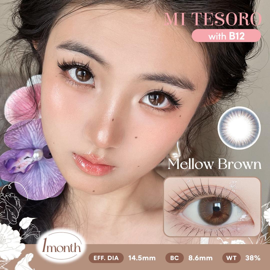 Melow Color Mellow Brown -Mi Tesoro Monthly Color Con 2pcs Malaysia & Singapore - B ...