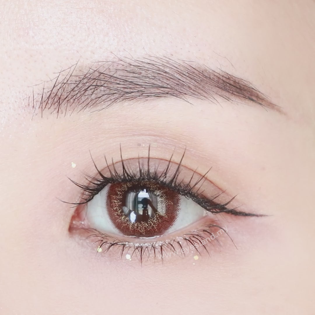 Ash Rose-Eye Secret 38% 1 Day Color Lenses 10pcs (Eff dia:14.5mm)