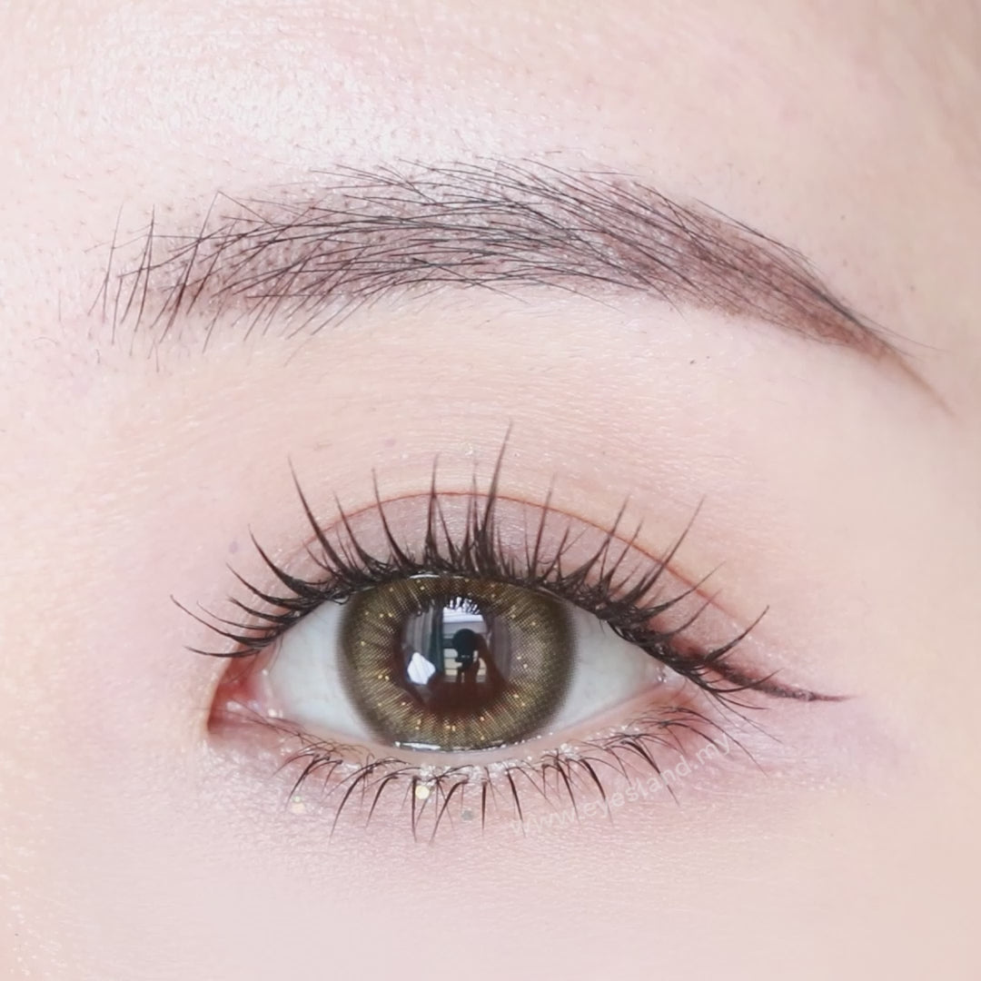 Melty Olive-Mi Tesoro 1 Day Color Con 10pcs (Eff dia:14.5mm)