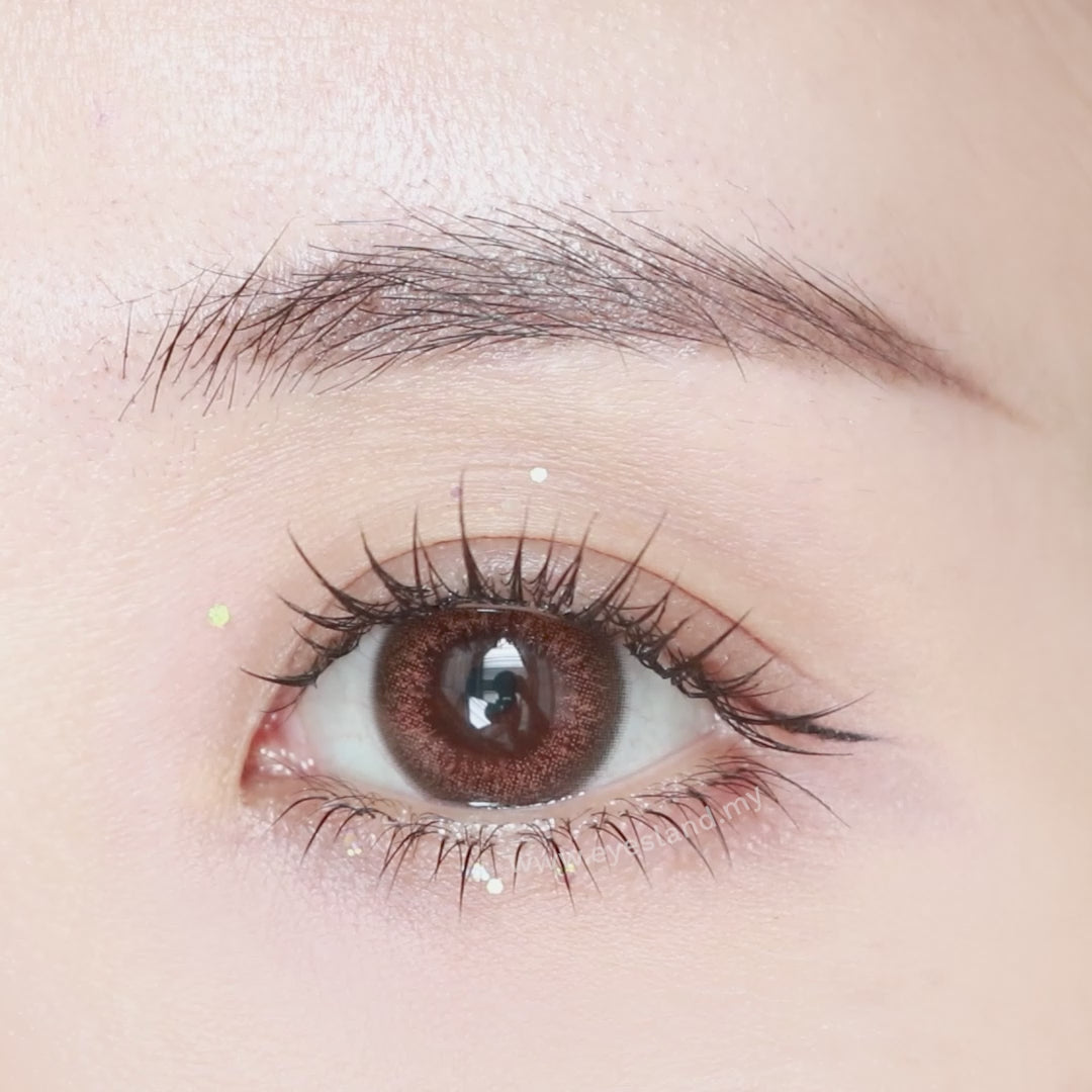 Pure Ash-Pure Plus Silicone Hydrogel 1 Day Color Contact Lens 10pcs (Eff dia:14.5mm)