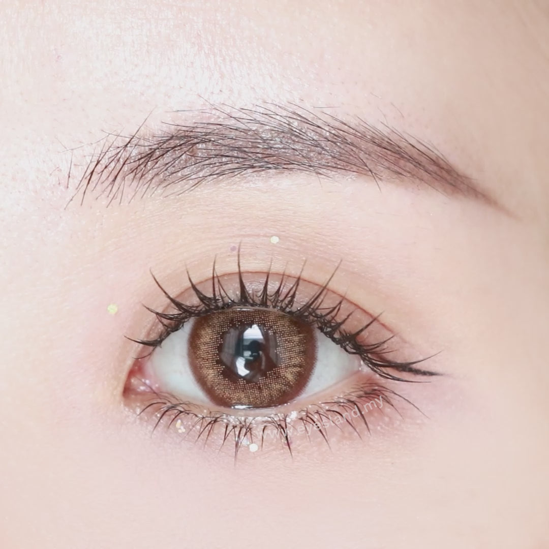 Pure Brown-Pure Plus Silicone Hydrogel 1 Day Color Contact Lens 10pcs (Eff dia:15mm)