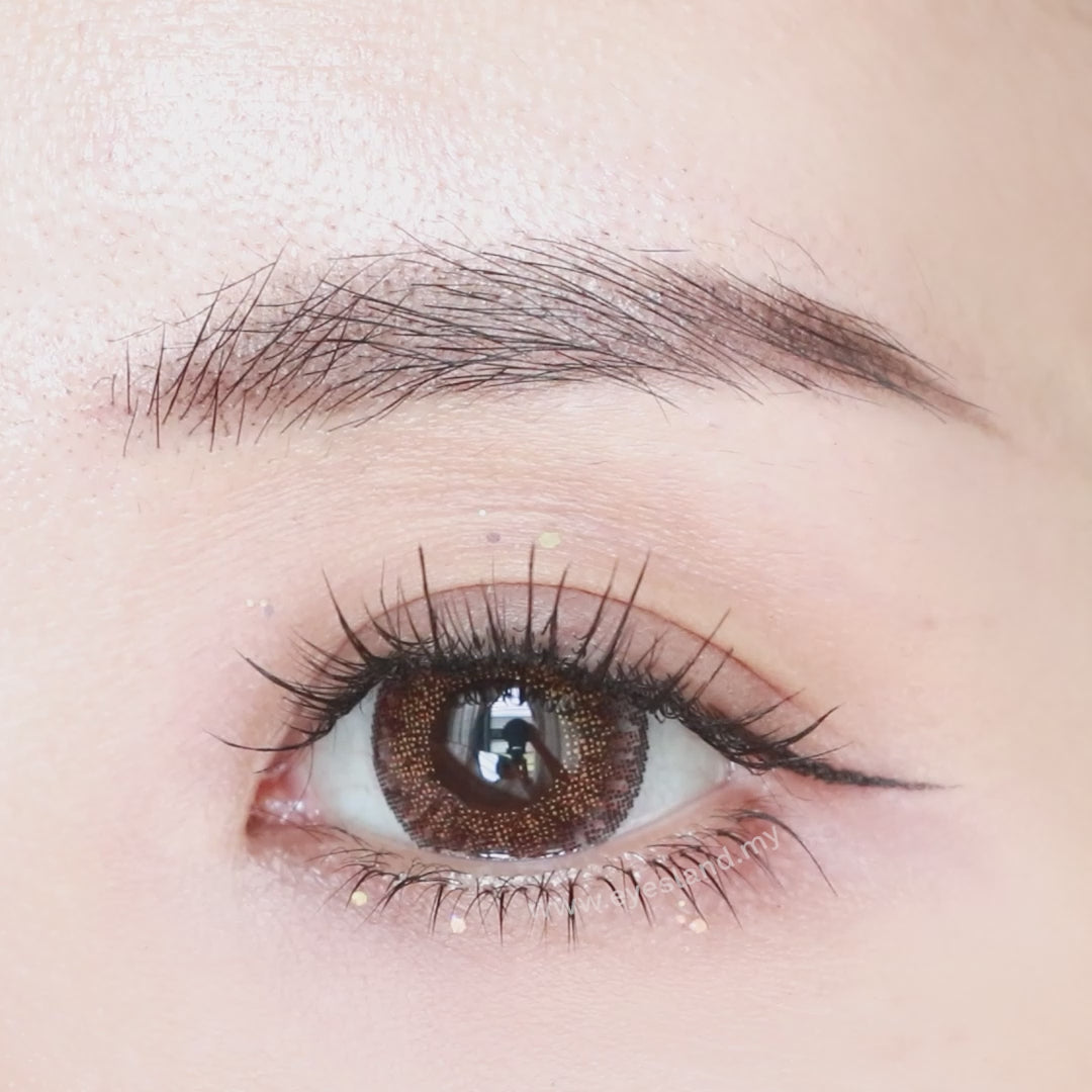 Shine Brown-Eye Secret 38% 3 Month Color Lens 2pcs (Eff dia:16mm)