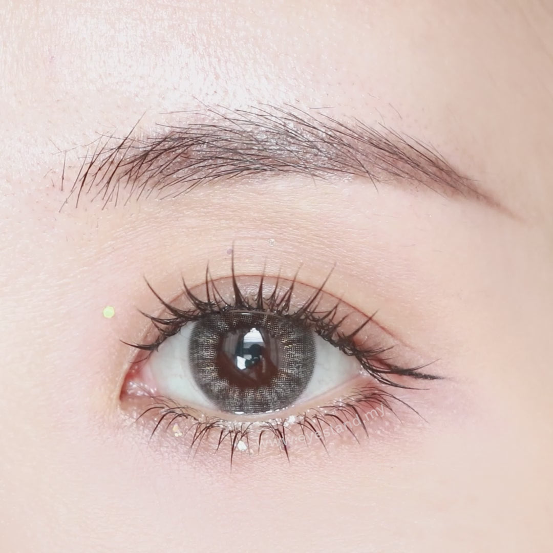 Pure Grey-Pure Plus Silicone Hydrogel 1 Day Color Contact Lens 10pcs (Eff dia:14.2mm)